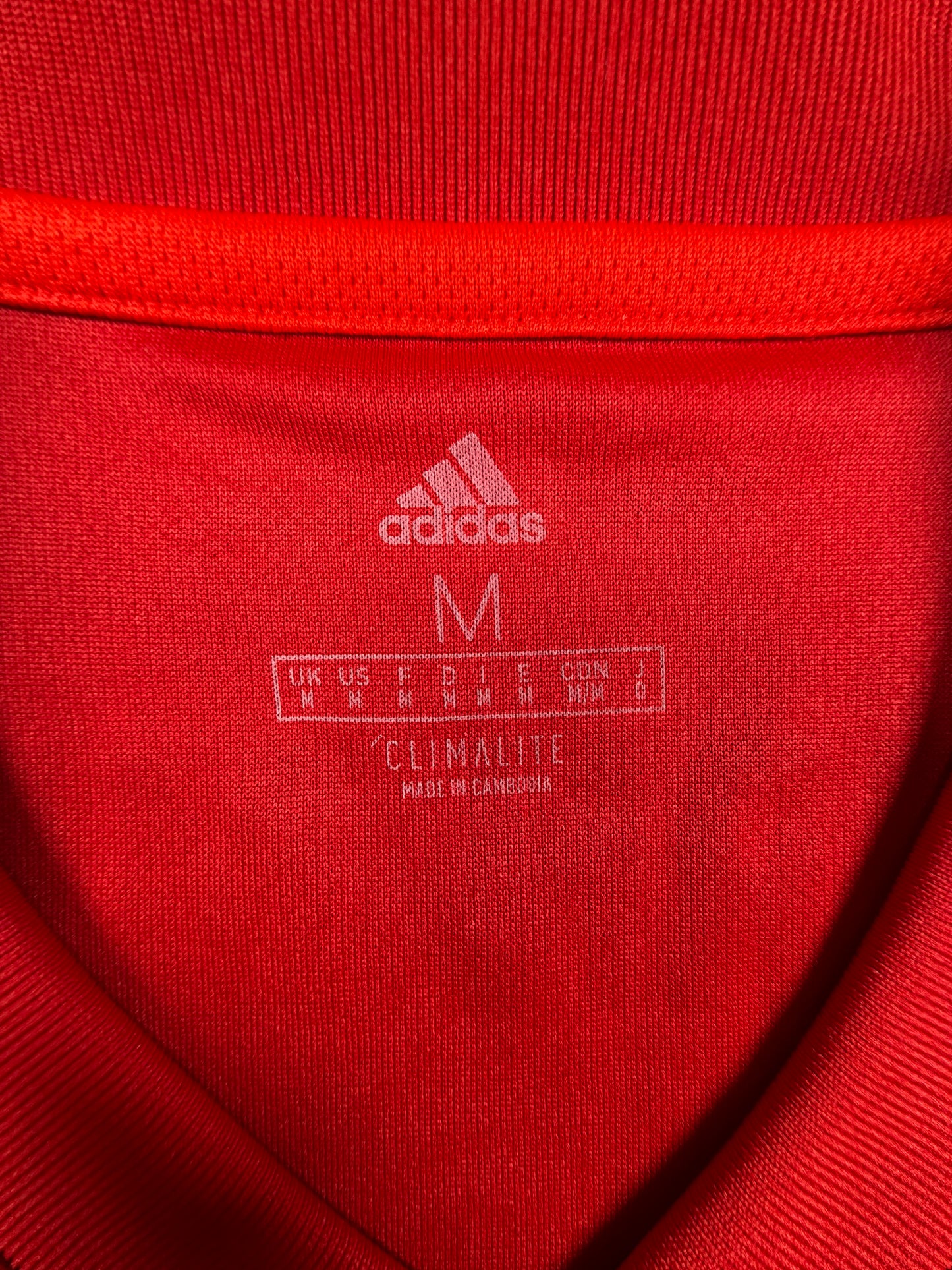 fc bayern münchen 19/20 fcb trikot (m) "22 gnabry" adidas