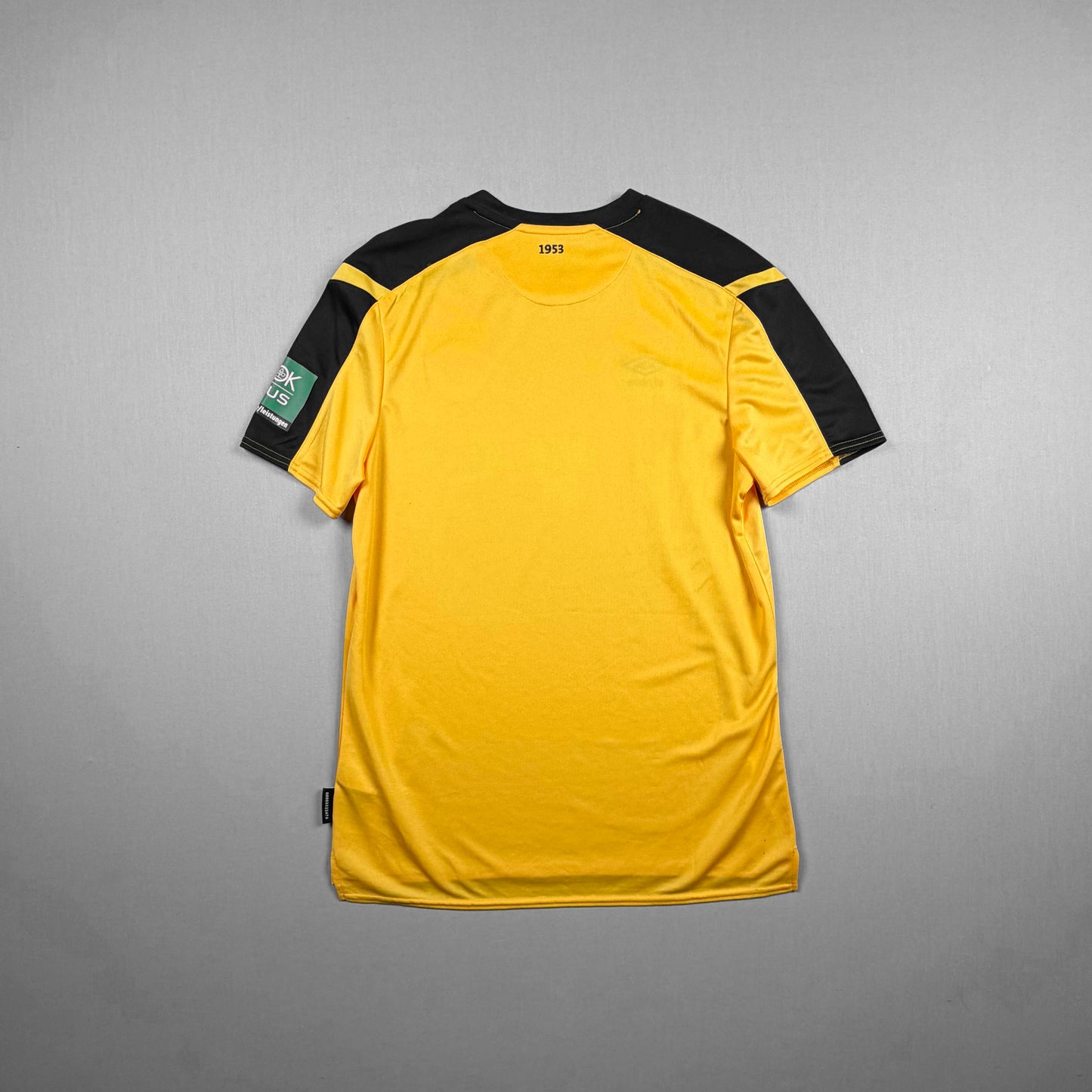 dynamo dresden 21/22 sgd trikot (l) umbro