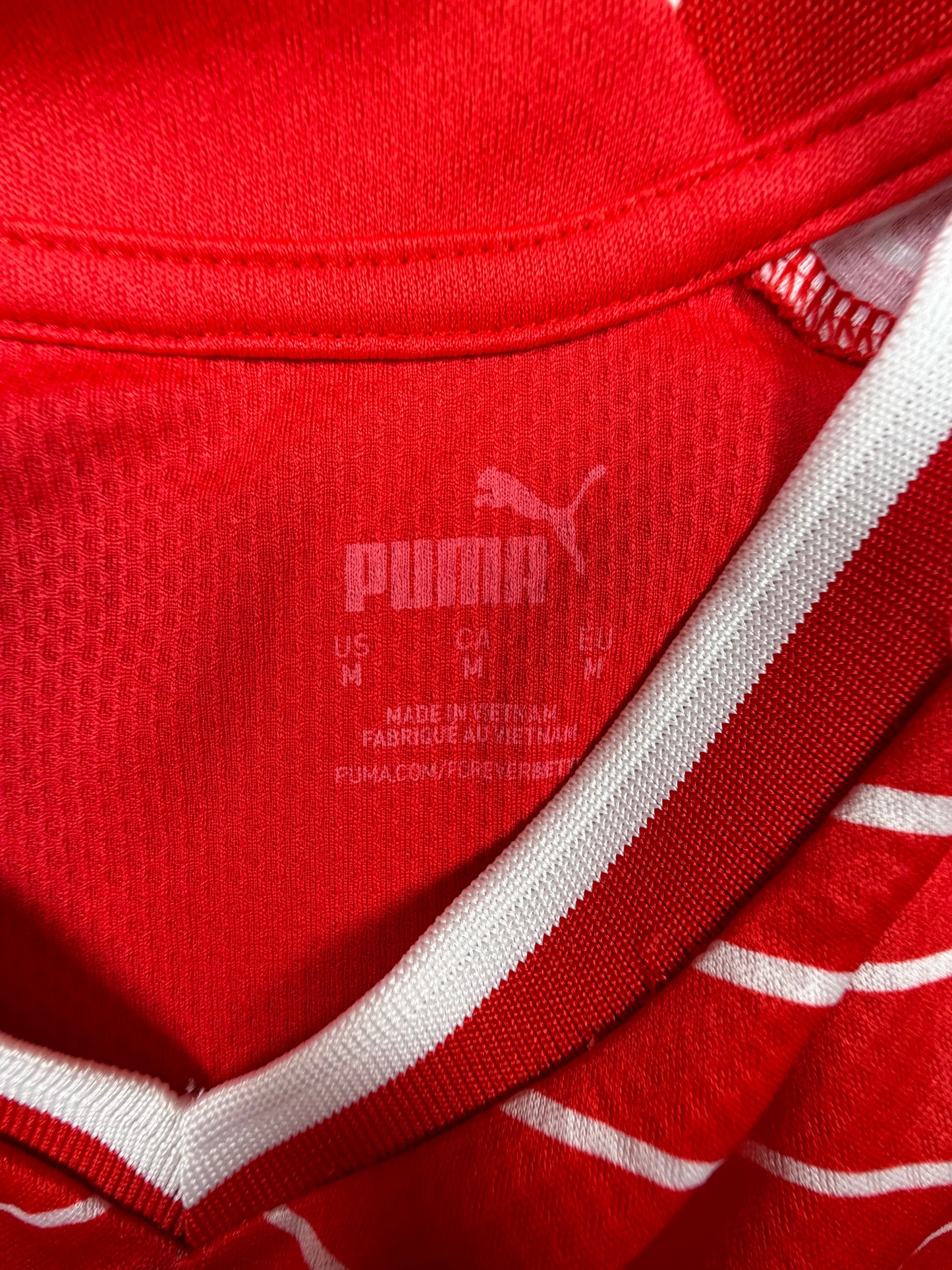 schweiz 2022 trikot (m) puma