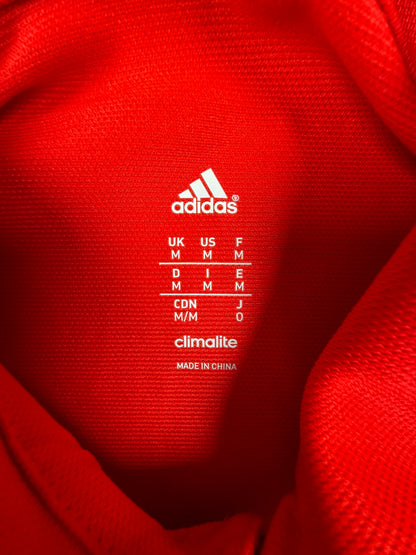 Deutschland 2014 DFB Poloshirt (M) Adidas